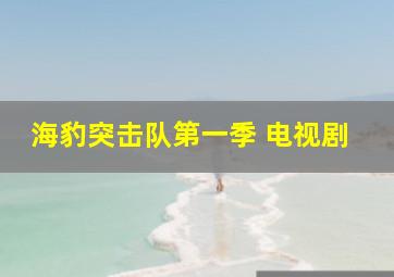 海豹突击队第一季 电视剧